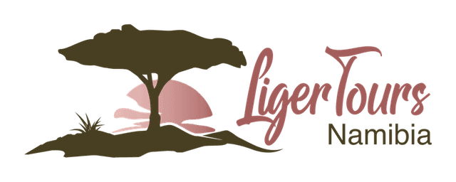 Liger Tours Namibia primary logo for light backgrounds