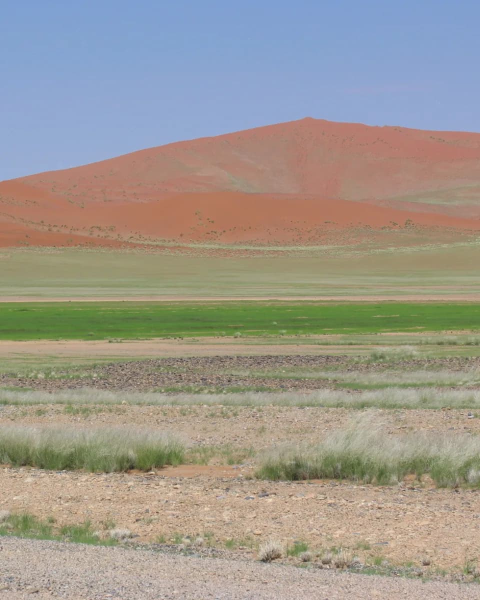 Red dunes rising above a green and gravel plain under a clear sky